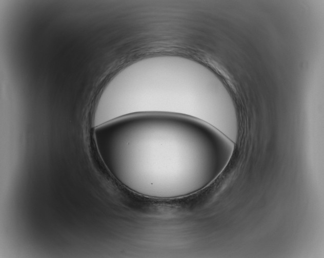 X0000099460681200805090748