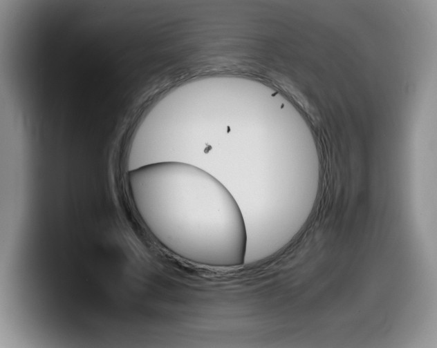 X0000099460683200805090748