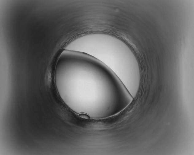 X0000099460685200805090748