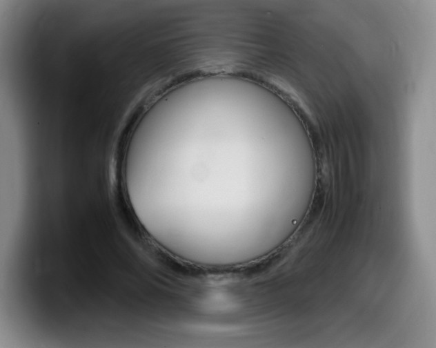 X0000099460686200805090748