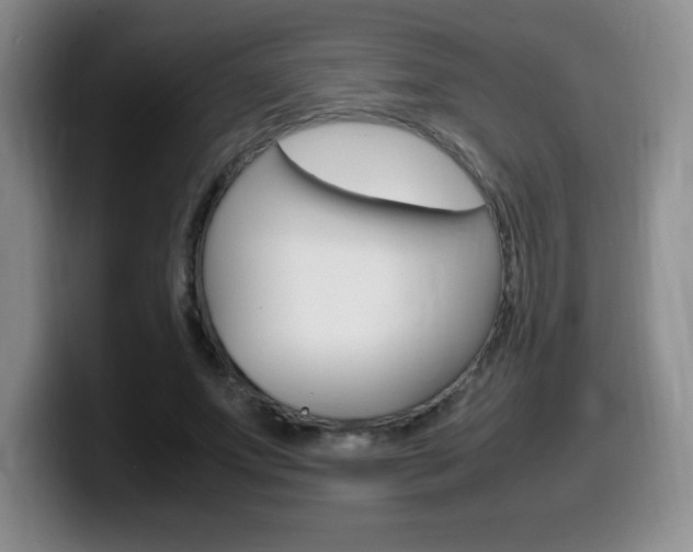 X0000099460687200805090748
