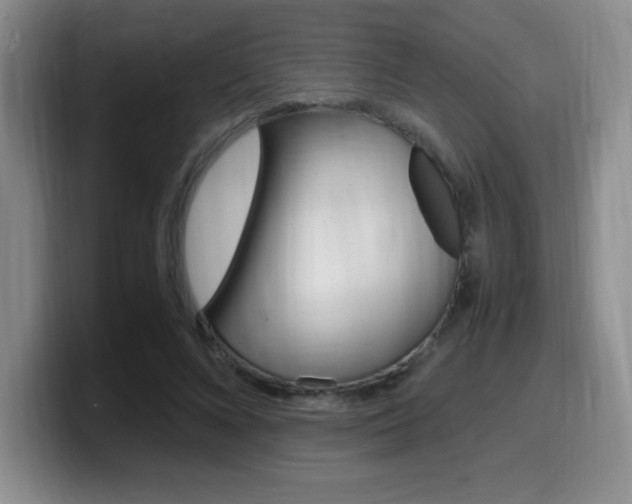 X0000099460688200805090748