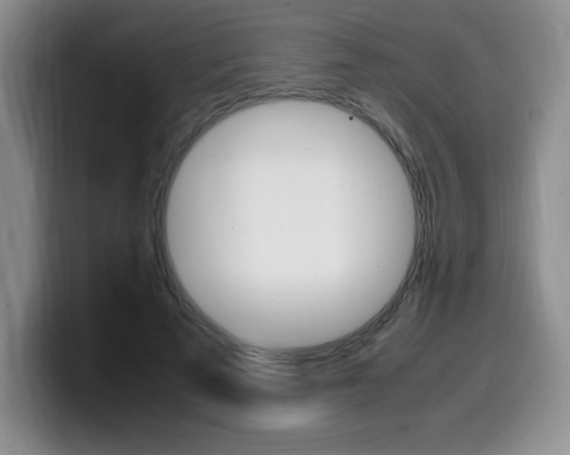 X0000099460689200805090748