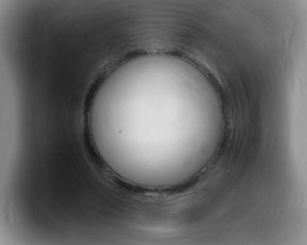 X0000099460690200805090748