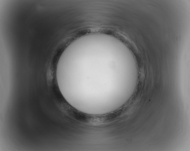 X0000099460691200805090748