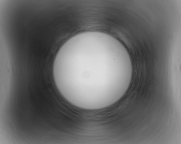 X0000099460692200805090748