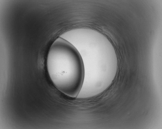 X0000099460693200805090748