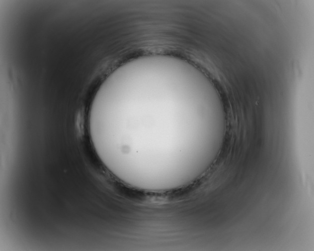 X0000099460694200805090747