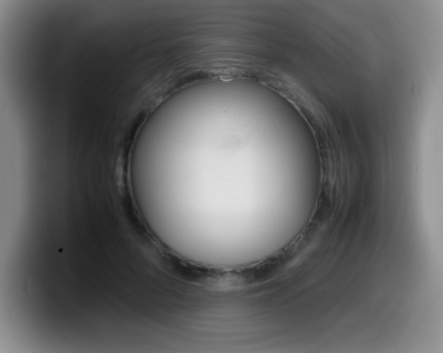 X0000099460696200805090747