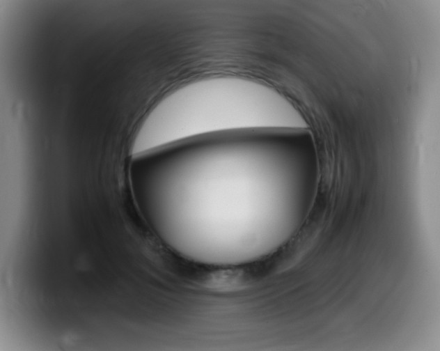 X0000099460700200805090747