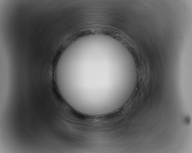X0000099460702200805090747
