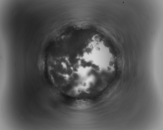 X0000099460703200805090747