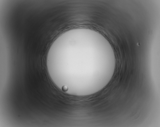 X0000099460704200805090747