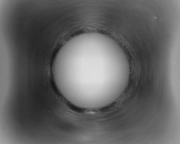 X0000099460706200805090747