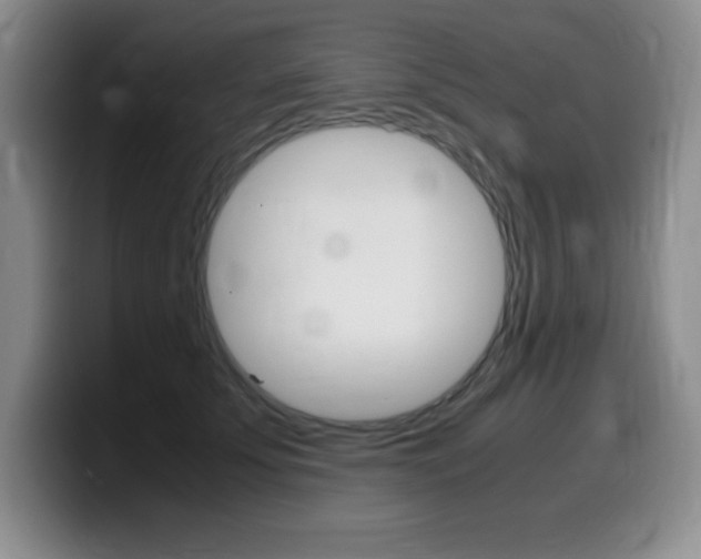X0000099460707200805090747