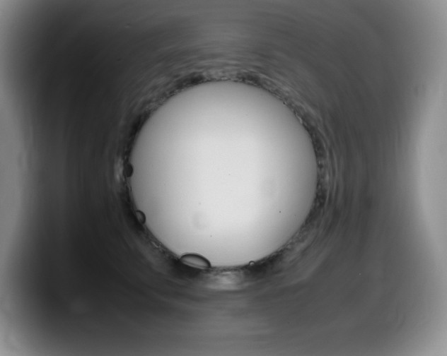 X0000099460711200805090747