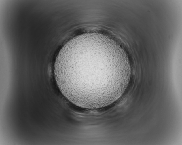 X0000099460715200805090747