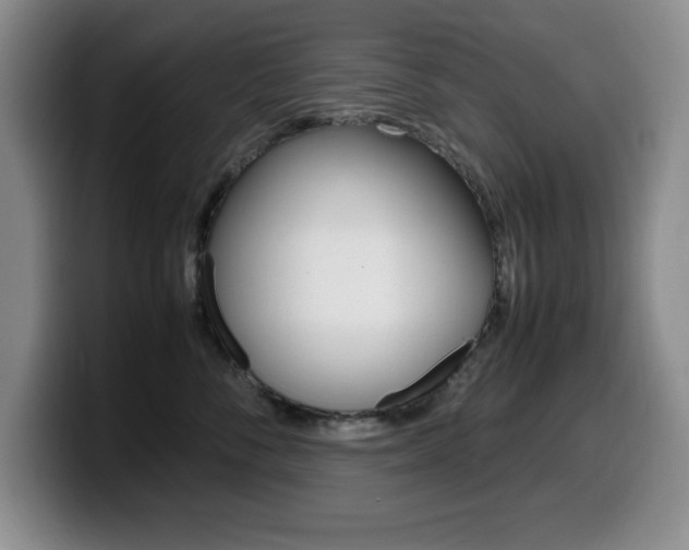 X0000099460716200805090747
