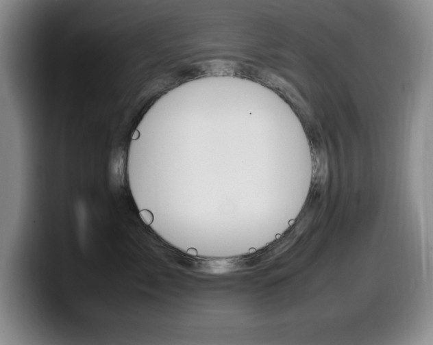 X0000099460717200805090747