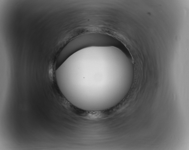 X0000099460720200805090747