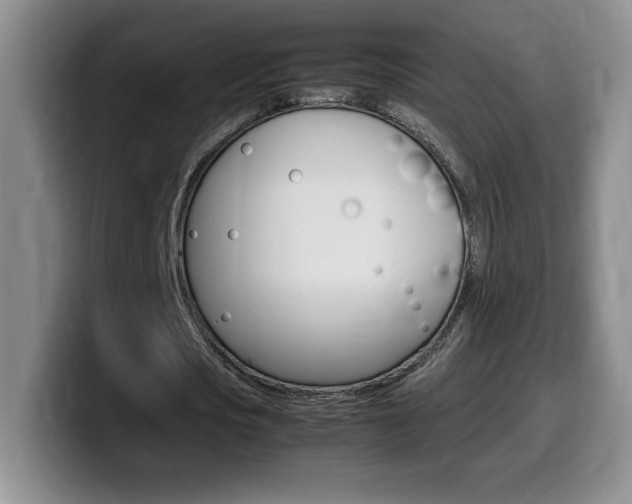 X0000099460721200805090747