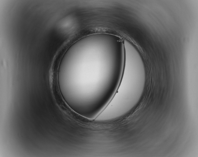 X0000099460722200805090747