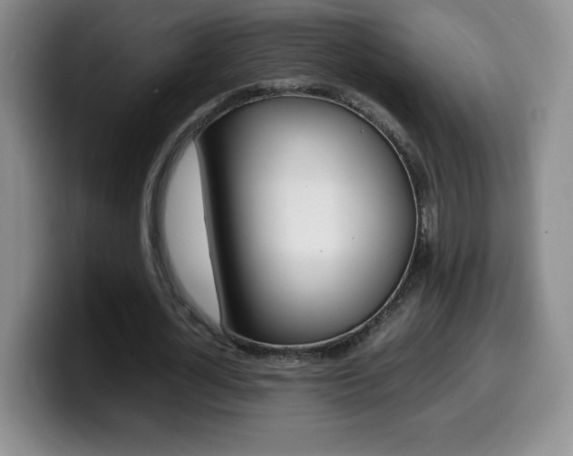 X0000099460724200805090747