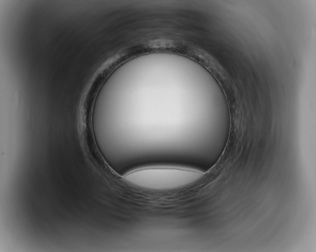 X0000099460727200805090747