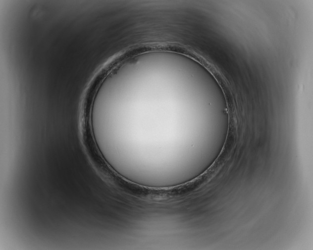 X0000099460728200805090747
