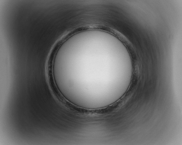 X0000099460730200805090747