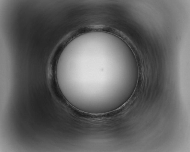 X0000099460731200805090747