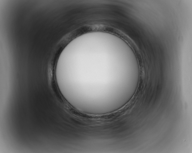 X0000099460733200805090747