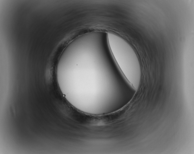 X0000099460735200805090747