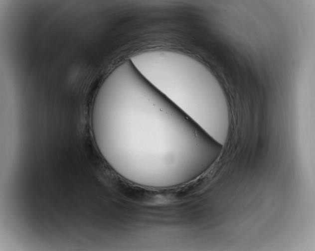 X0000099460737200805090747