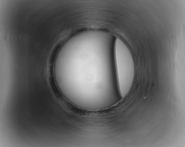 X0000099460738200805090747