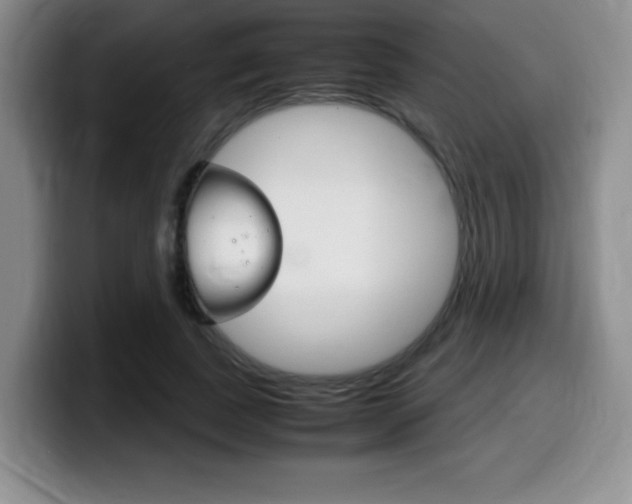 X0000099460739200805090747