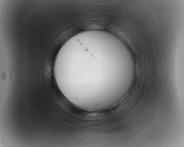 X0000099460741200805090747