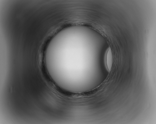 X0000099460742200805090747
