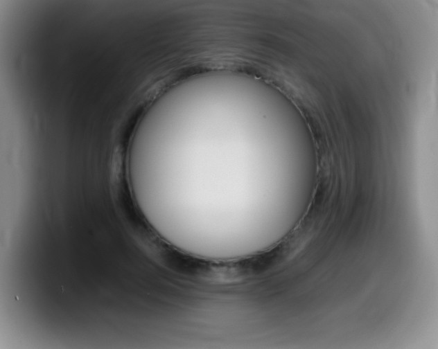 X0000099460744200805090747