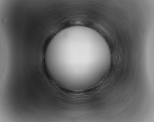 X0000099460747200805090747