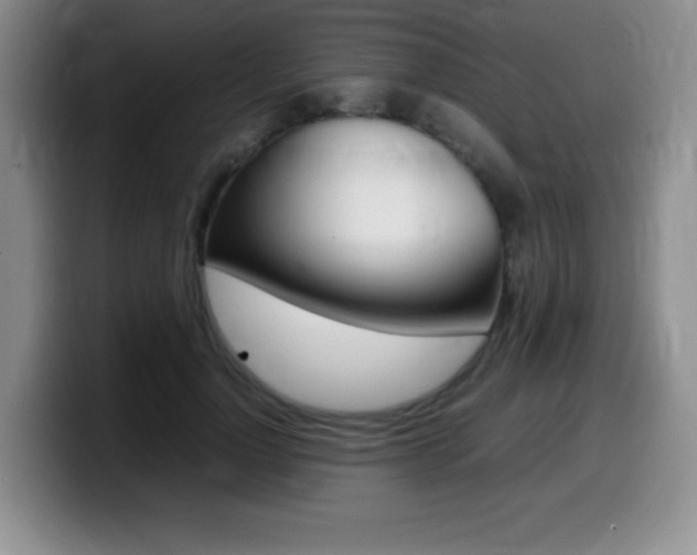 X0000099460748200805090747