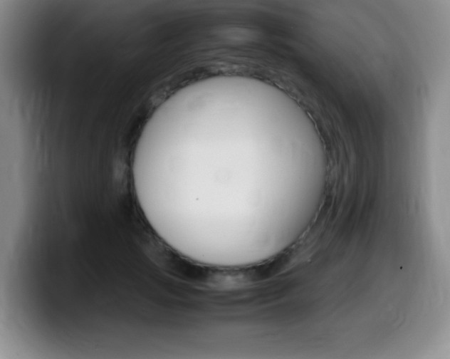 X0000099460749200805090747