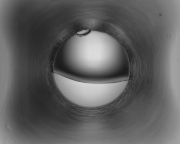 X0000099460750200805090747