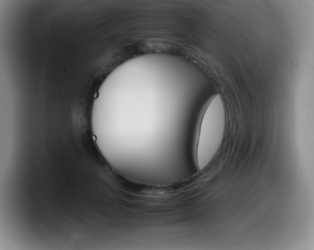 X0000099460751200805090747