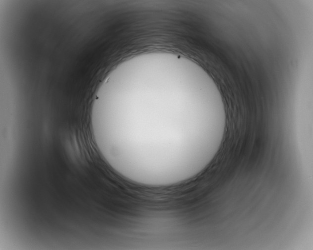 X0000099460752200805090747