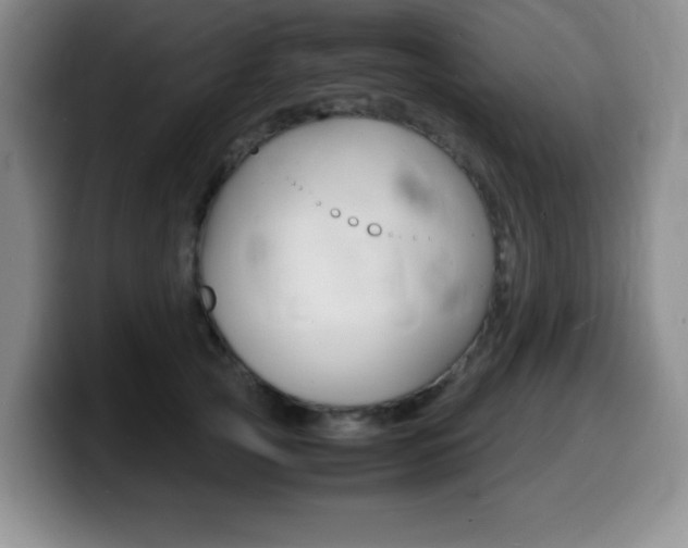 X0000099460753200805090747