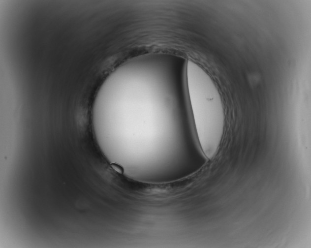 X0000099460756200805090747