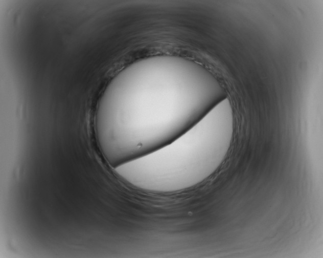 X0000099460757200805090747
