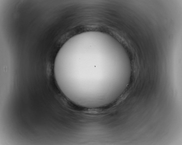 X0000099460758200805090747