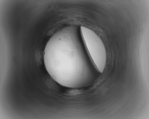 X0000099460759200805090747
